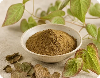 Bowl of green botanical extract powder representing pine bark extract